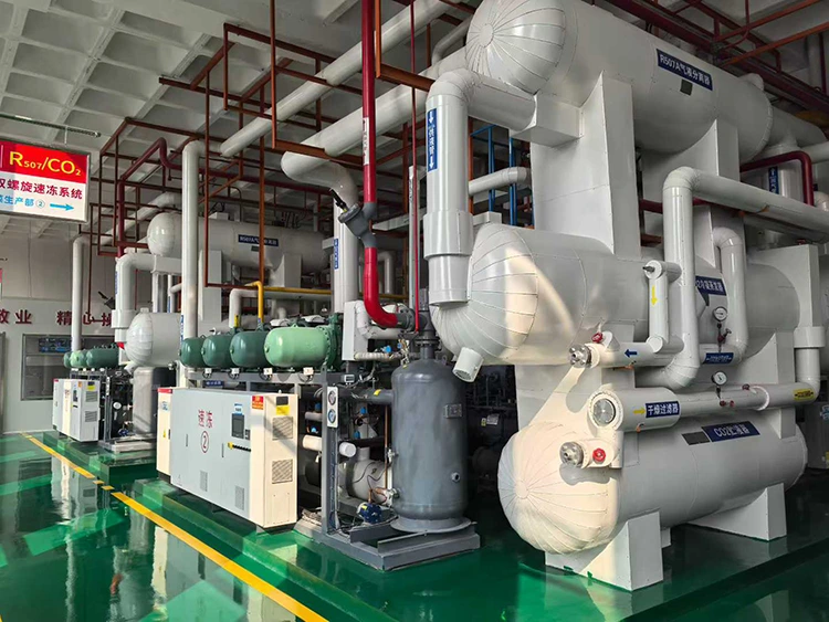 CO₂ Subkriittinen jäähdytyskompressoriyksikkö